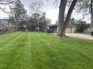 Benjamin B.'s lawn care services service result
