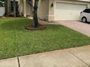 Dan M.'s lawn care services service result