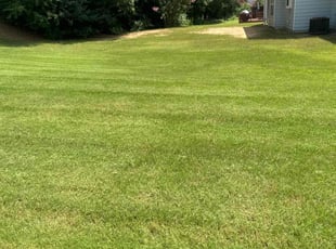 Sophia W.'s turf maintenance service result
