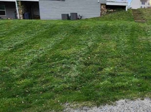LaKina H.'s lawn care service result