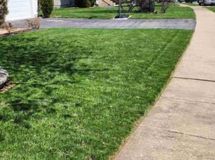 Joey O.'s lawn care service result