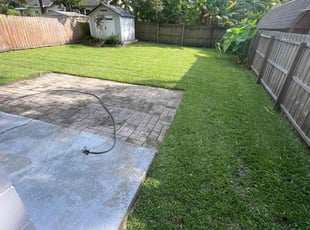 Anastasa G.'s lawn care service result