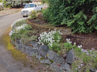 Ronald T.'s Flower Bed Weeding service result