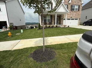 Melissa A.'s lawn service service result