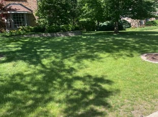 Stephen O.'s lawn service service result