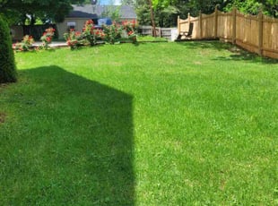 Doris N.'s lawn care services service result