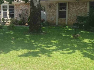 Brian W.'s lawn service service result
