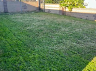 Teresa M.'s grass cutting service result