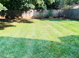 Kellyann M.'s lawn maintenance service result