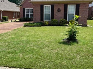 Eric M.'s grass maintenance service result