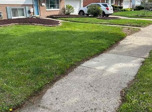 Isaac G.'s lawn care services service result