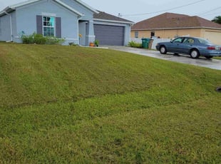 Sabrina M.'s grass cutting service result
