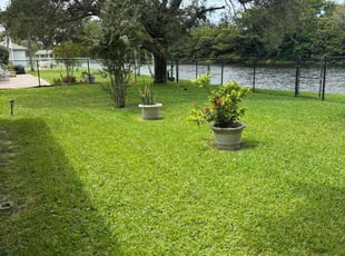 Richard R.'s lawn maintenance service result