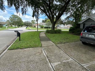 Terry F.'s lawn maintenance service result