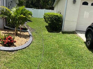 Tracy T.'s grass cutting service result
