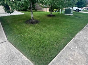 Christopher B.'s turf maintenance service result