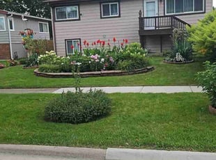 Flordelino B.'s lawn care service result