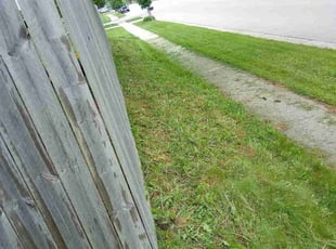 Scott D.'s lawn maintenance service result