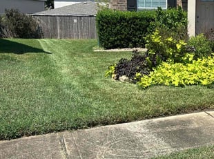 Courtney D.'s grass cutting service result
