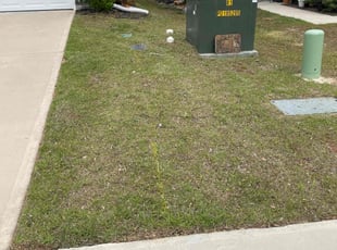 Maftuna I.'s grass cutting service result