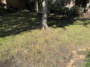 Jose C.'s lawn maintenance service result