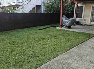 Ira L.'s turf maintenance service result
