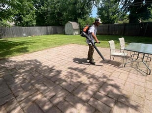 Lisa C.'s grass cutting service result