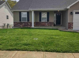 Paul H.'s lawn care service result