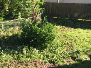 Loretta R.'s Bush Trimming service result