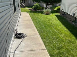 Jan E.'s lawn maintenance service result