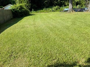 Liz W.'s lawn care service result