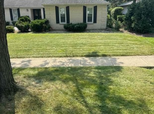Alison K.'s lawn service service result