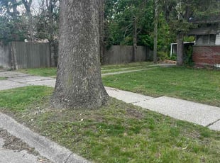 Gary R.'s turf care service result