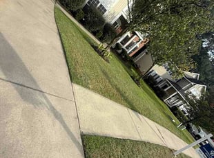 Gianna M.'s grass maintenance service result