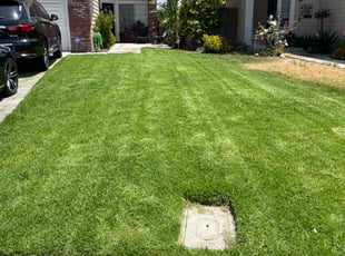 Troy D.'s lawn service service result