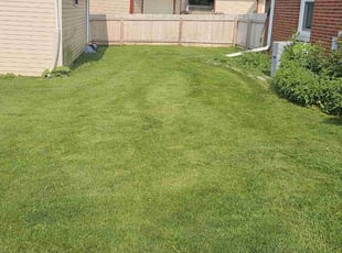Chris M.'s lawn care service result