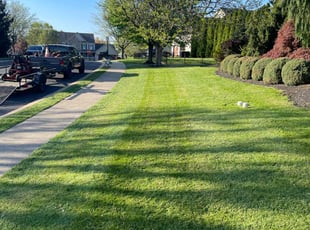 Snehasis K.'s lawn care services service result
