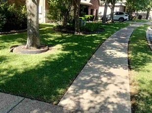 Silvio D.'s turf maintenance service result