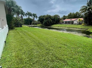 Marlene B.'s lawn care services service result