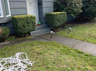 Billy J.'s Bush Trimming service result