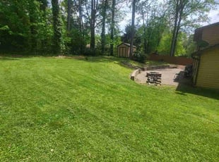 Taylor H.'s lawn maintenance service result
