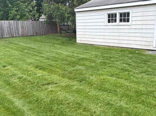 Celeste R.'s turf maintenance service result