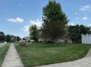 April B.'s lawn maintenance service result