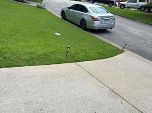 Brenda M.'s grass cutting service result