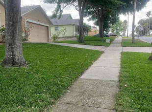 Katrina W.'s lawn service service result