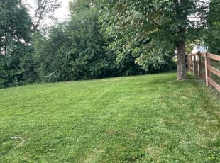 Utona R.'s grass cutting service result