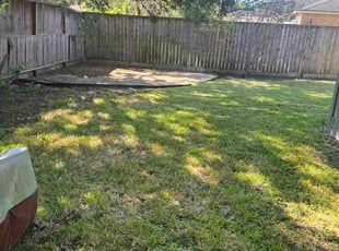 Steve T.'s turf care service result