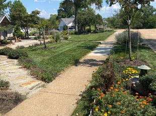 Madalen R.'s residential landscaping service result