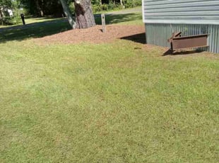 Emile P.'s turf maintenance service result