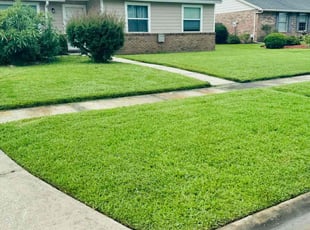 Bill L.'s lawn maintenance service result